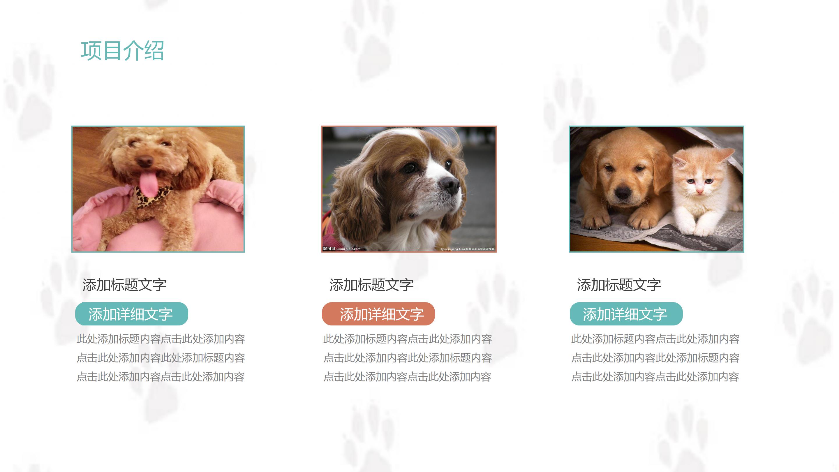 简单介绍动物ppt模板