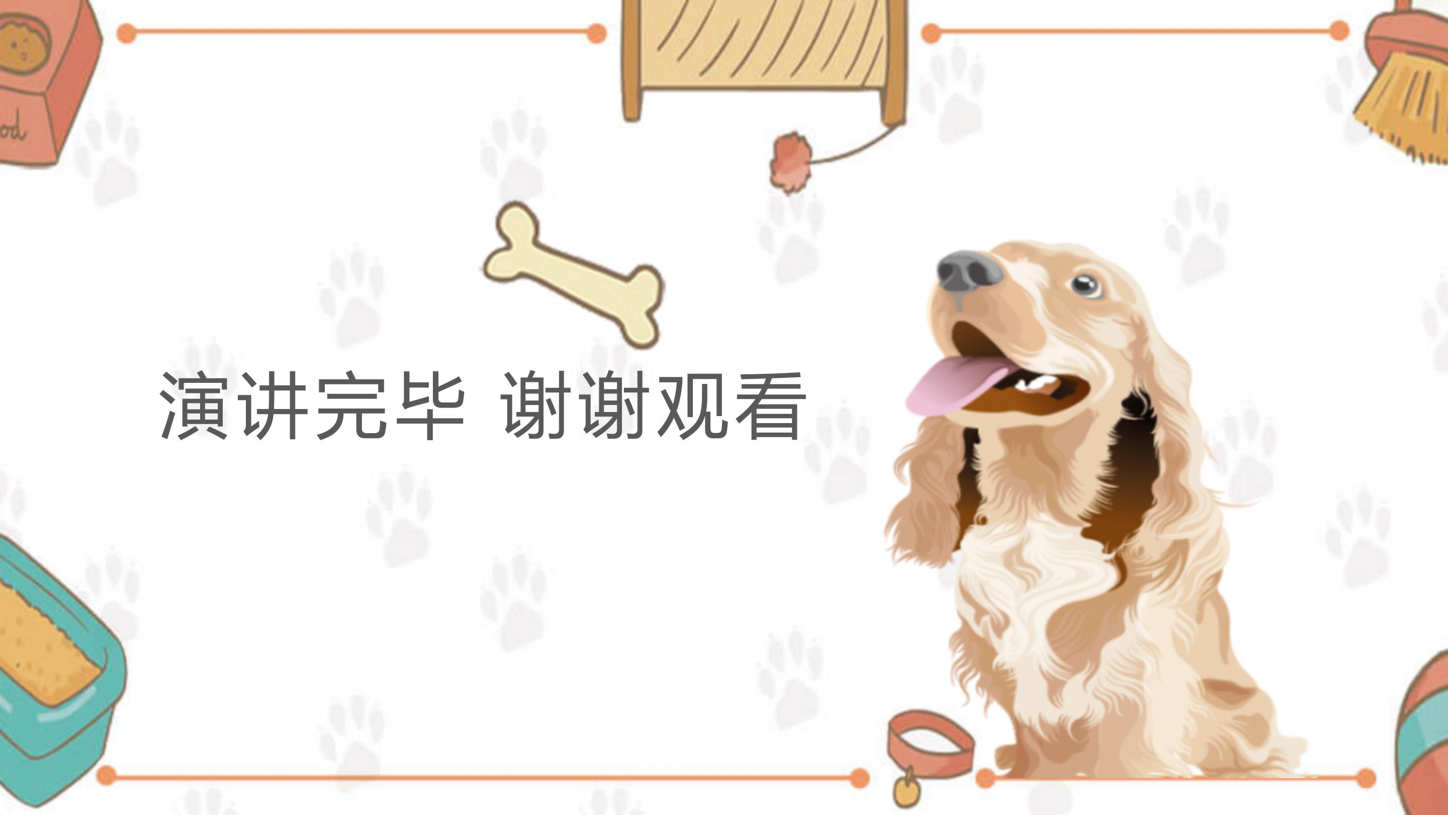 简单介绍动物ppt模板