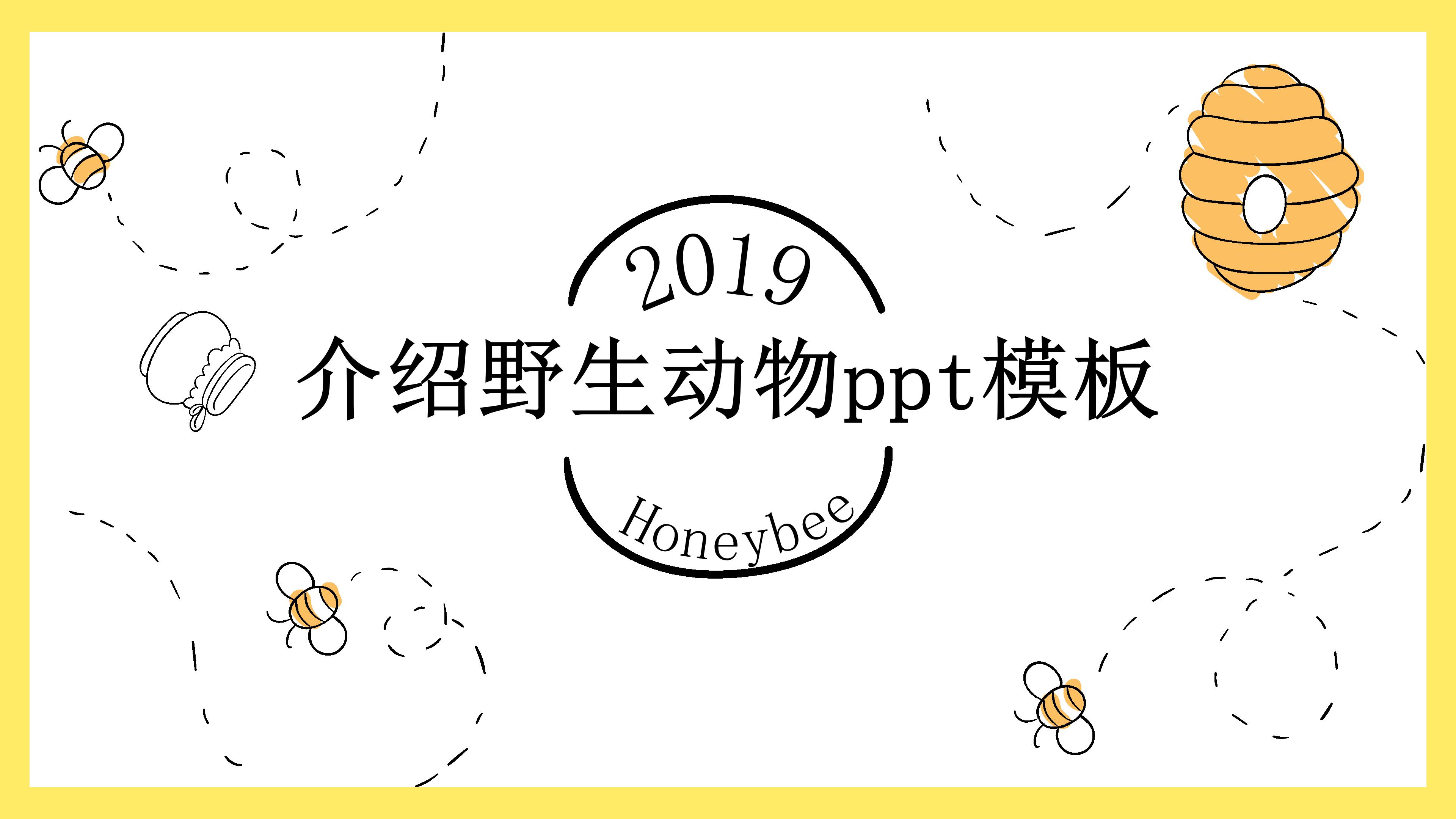 介绍野生动物ppt模板