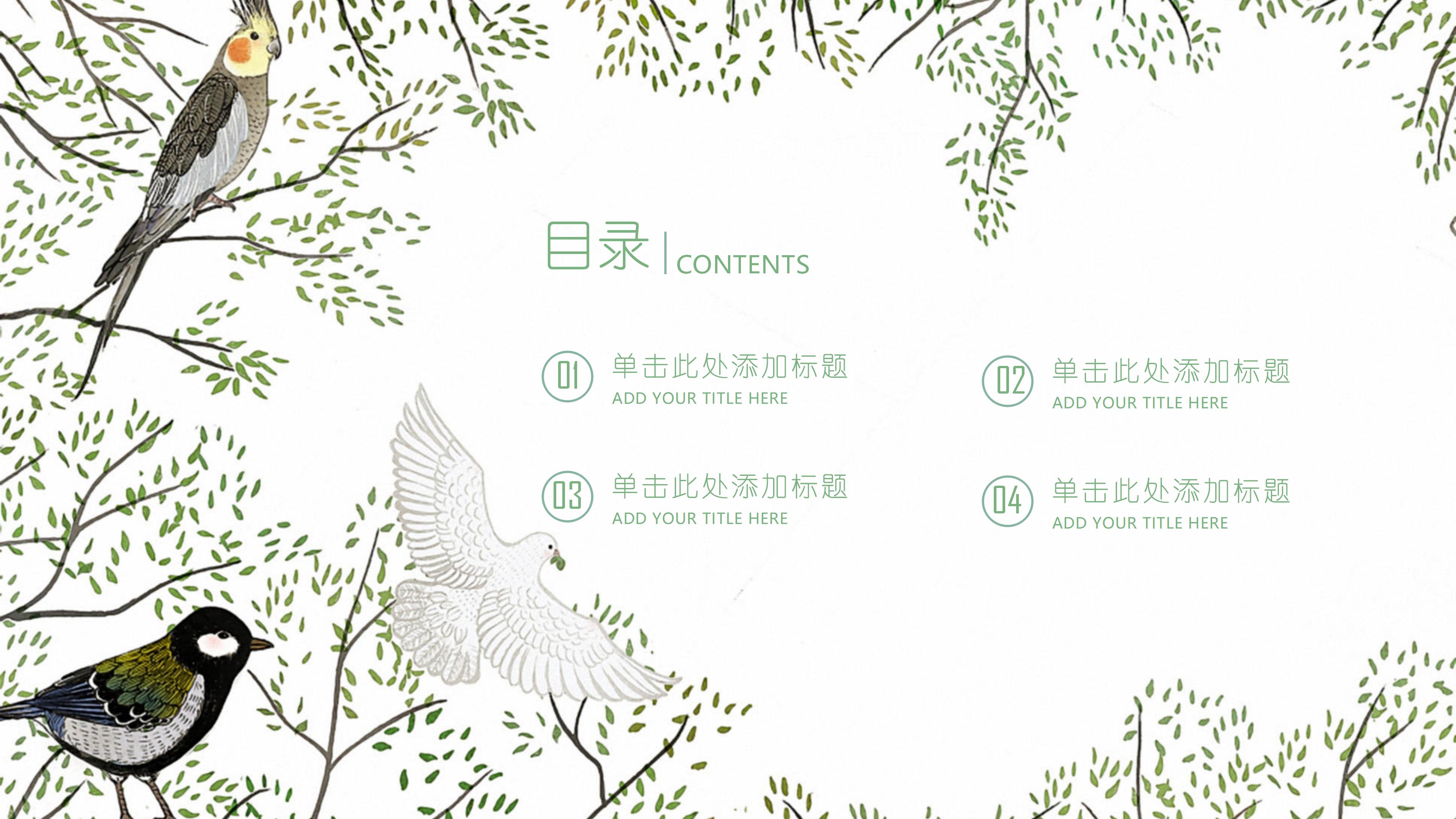 动物名片介绍ppt模板