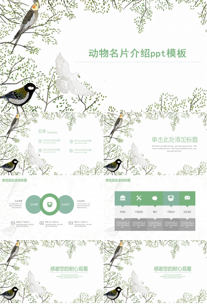 动物名片介绍ppt模板