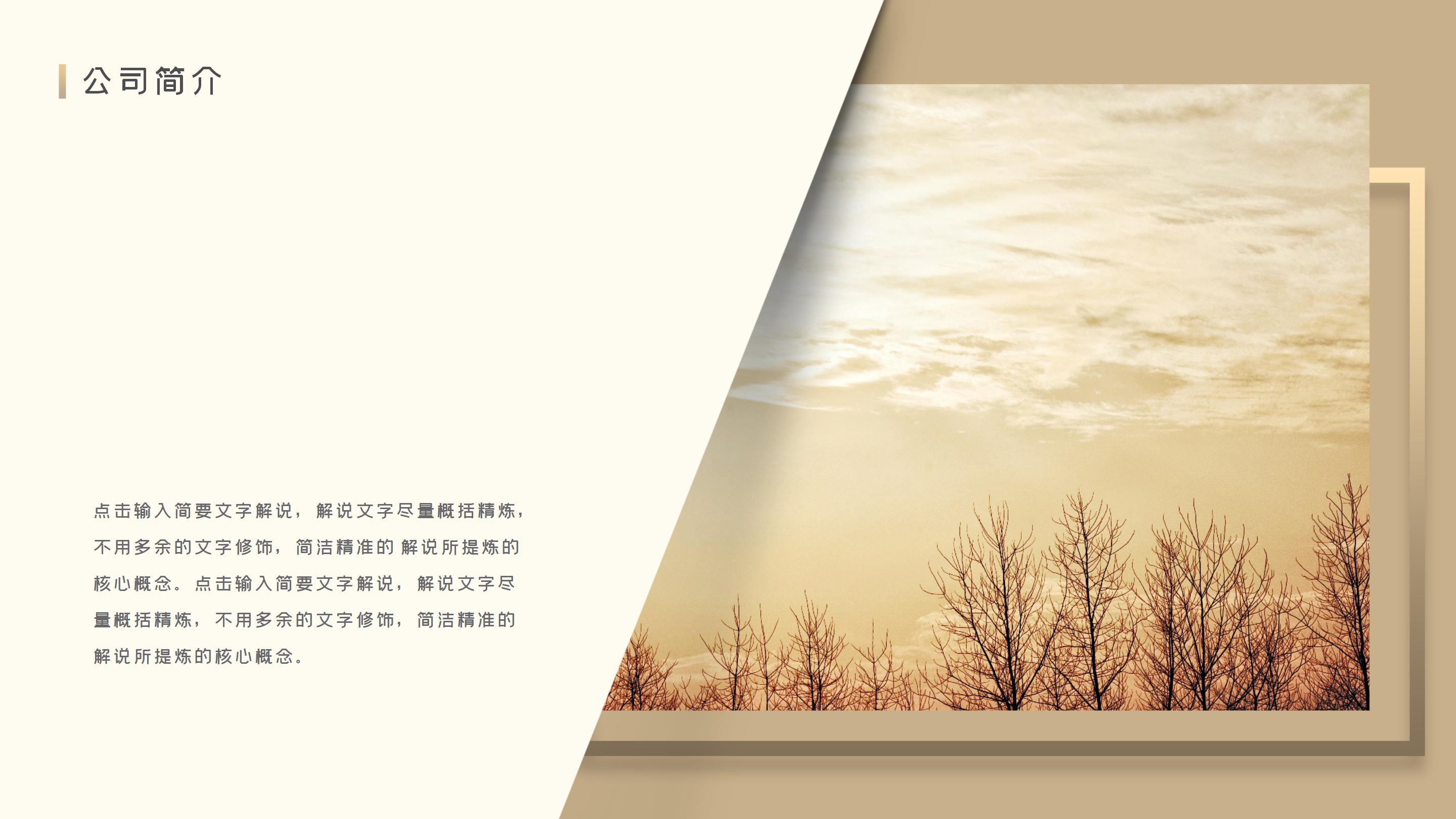 高端大气金色立体风公司商业融资计划书PPT模板