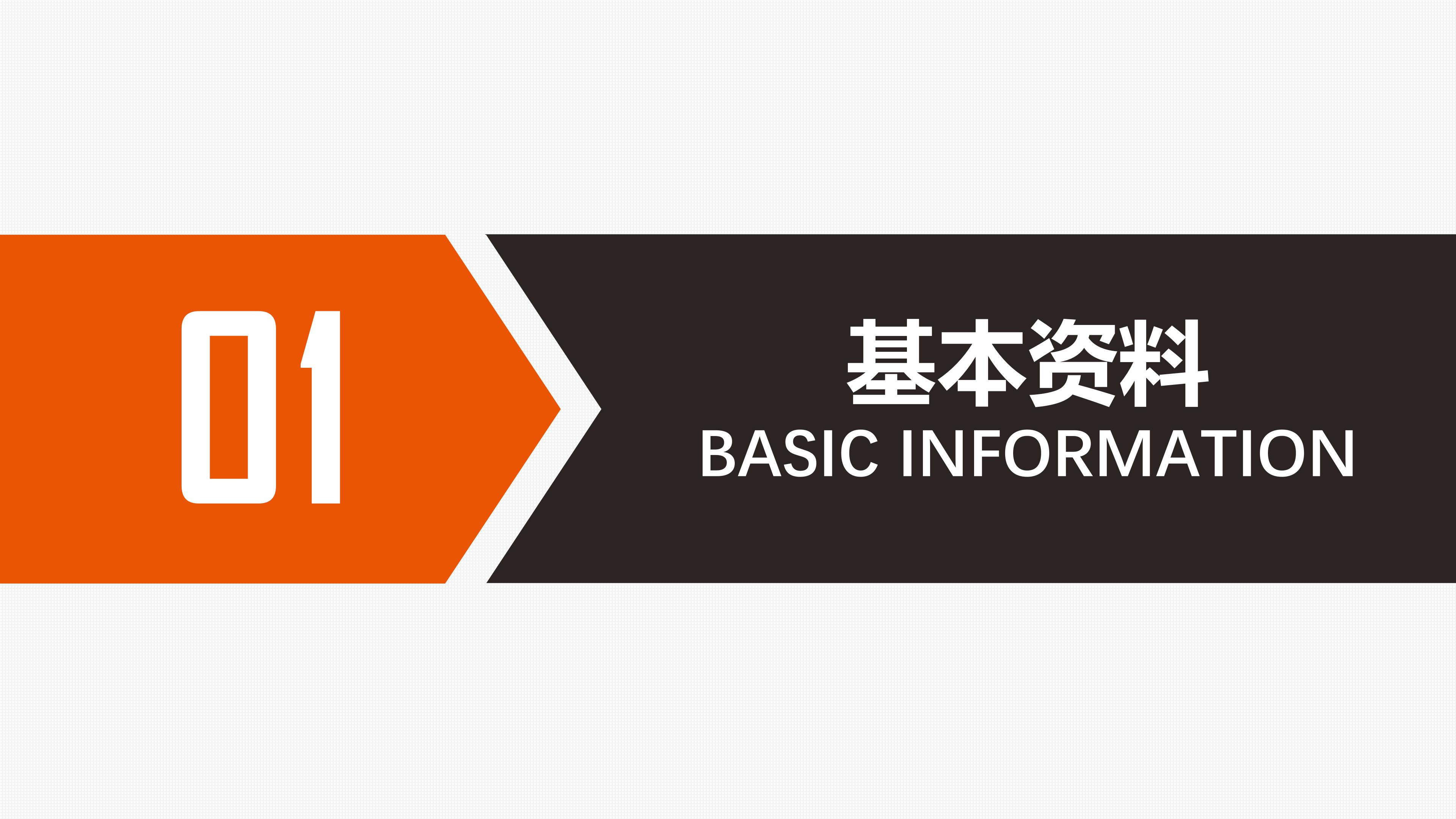 保险公司个人简历ppt模板