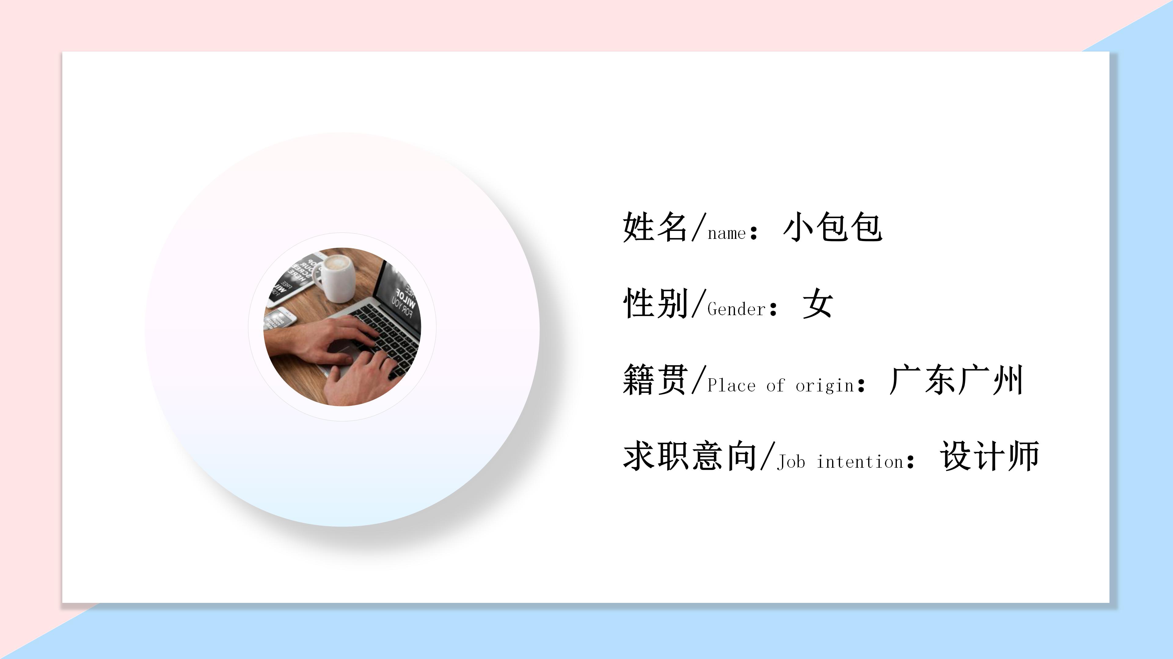 歌手个人简历ppt模板