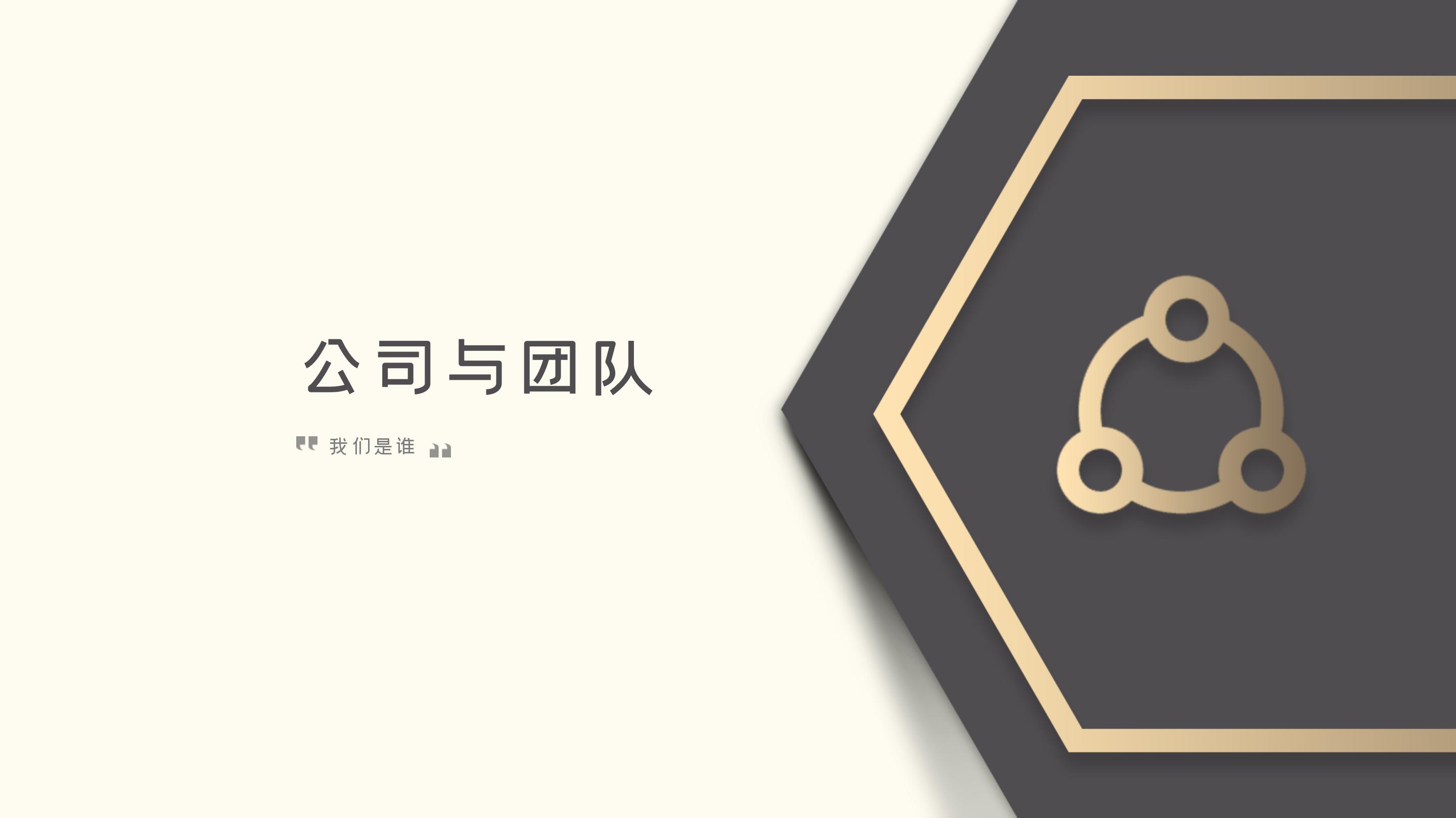 高端大气金色立体风公司商业融资计划书PPT模板