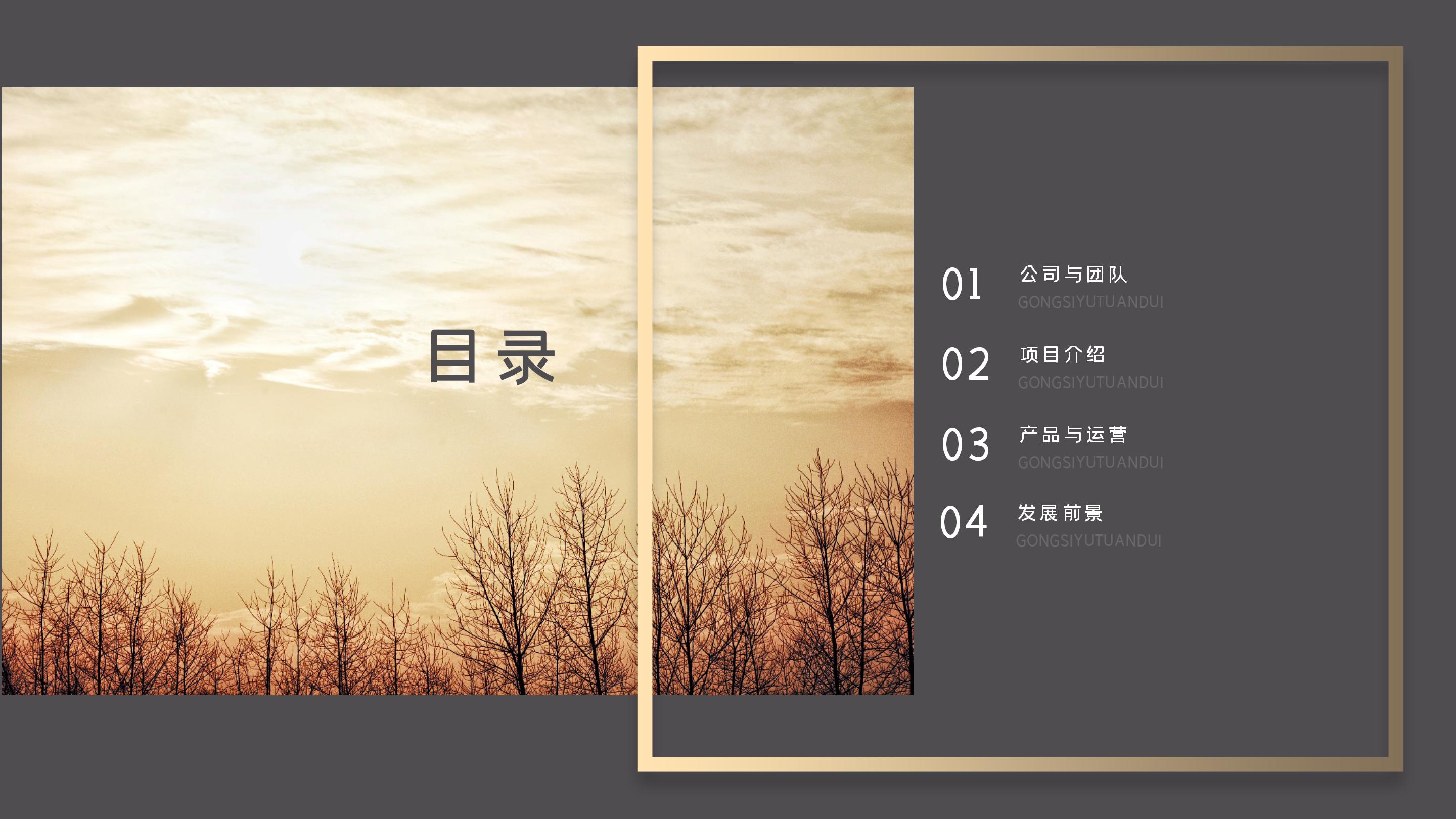 高端大气金色立体风公司商业融资计划书PPT模板