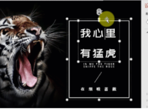 PPT断点线框效果