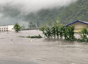 卧龙强降雨上万游客遭滞留 暴雨灾害防范PPT模板推荐