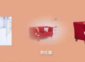 PPT设计中图片的处理方法