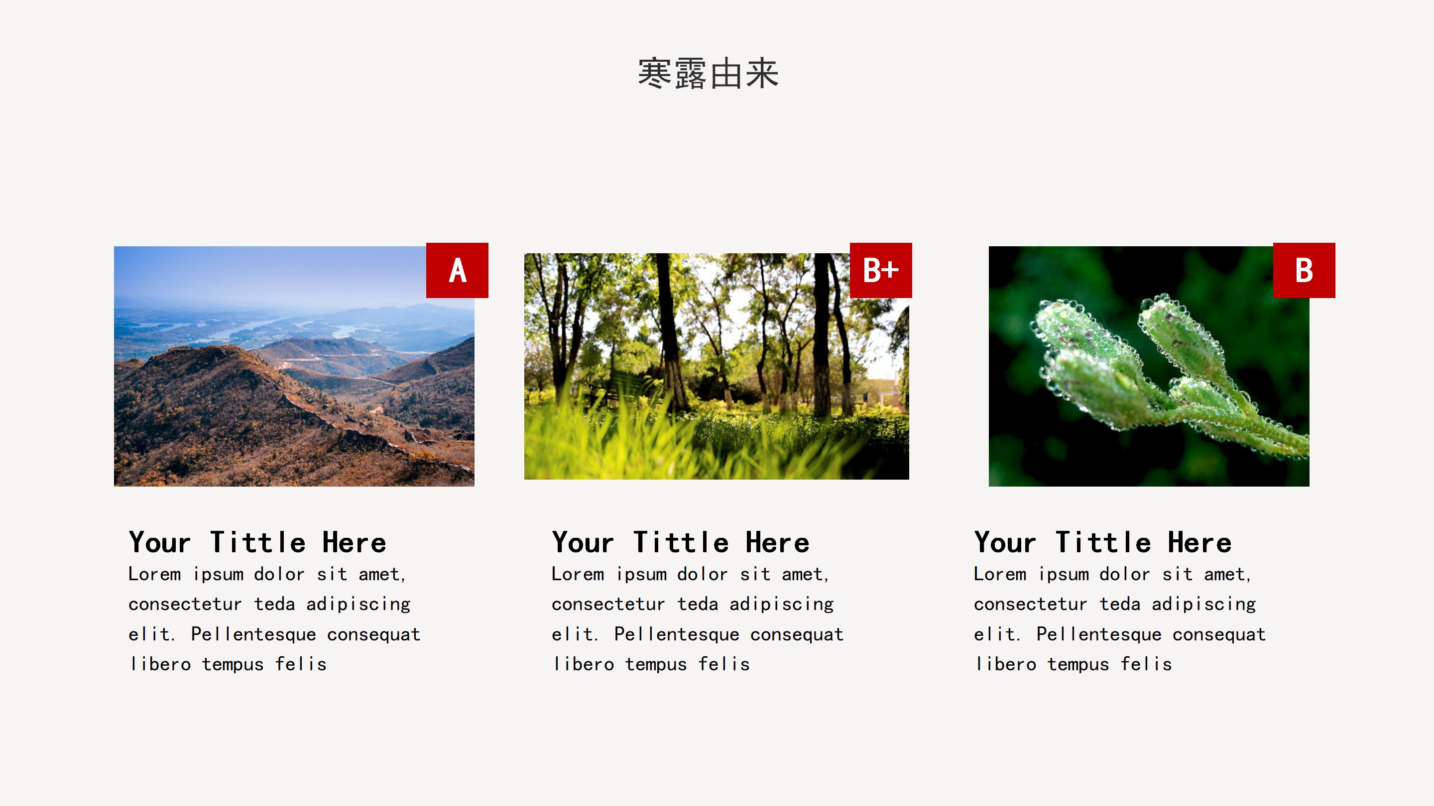 古韵唯美水墨中国风传统节气寒露文化介绍PPT模板