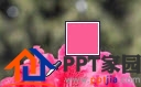 PPT中的取色器怎么使用