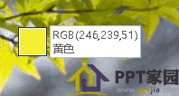 PPT中的取色器怎么使用