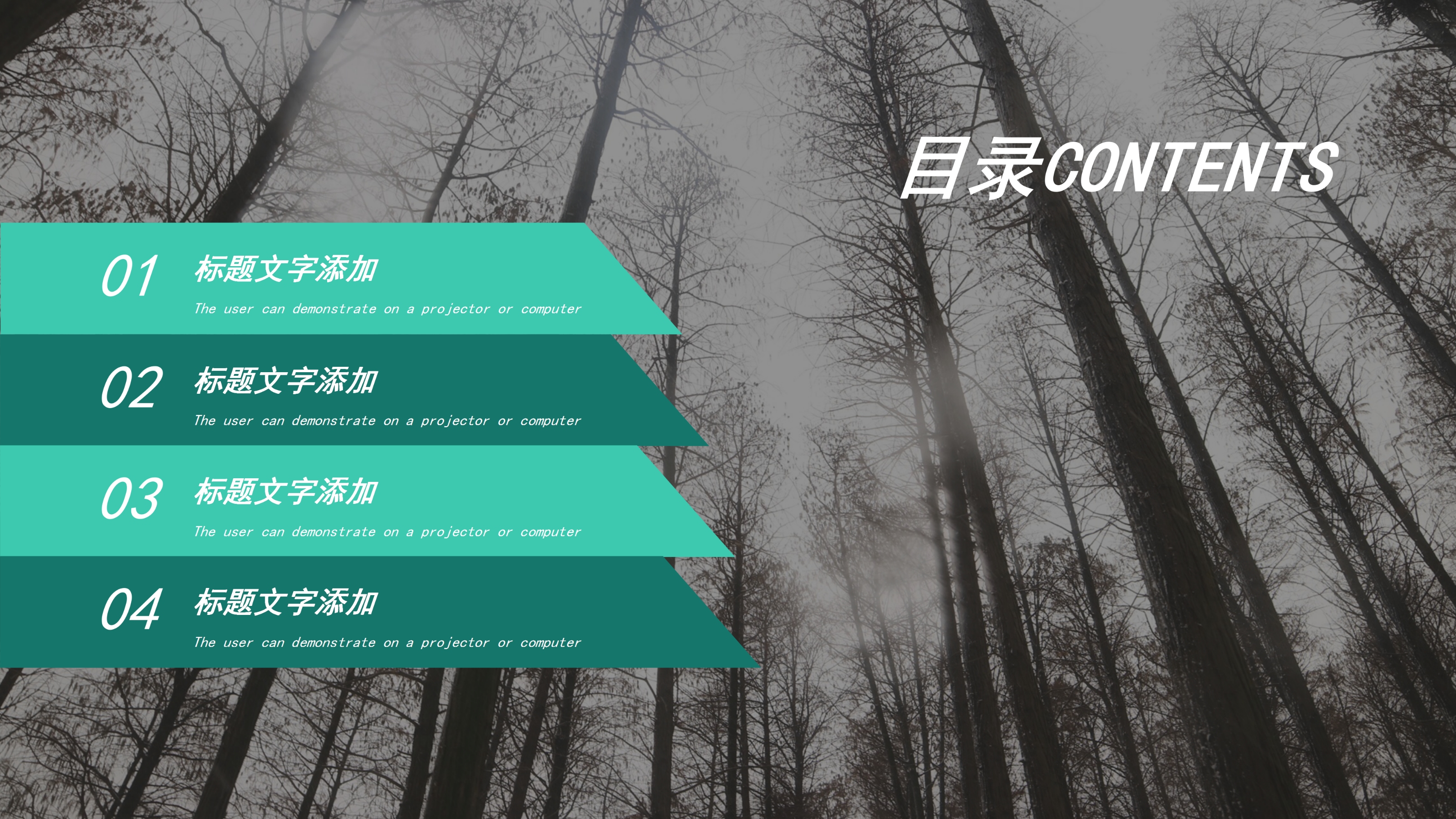 大气排版设计商务通用述职报告模版