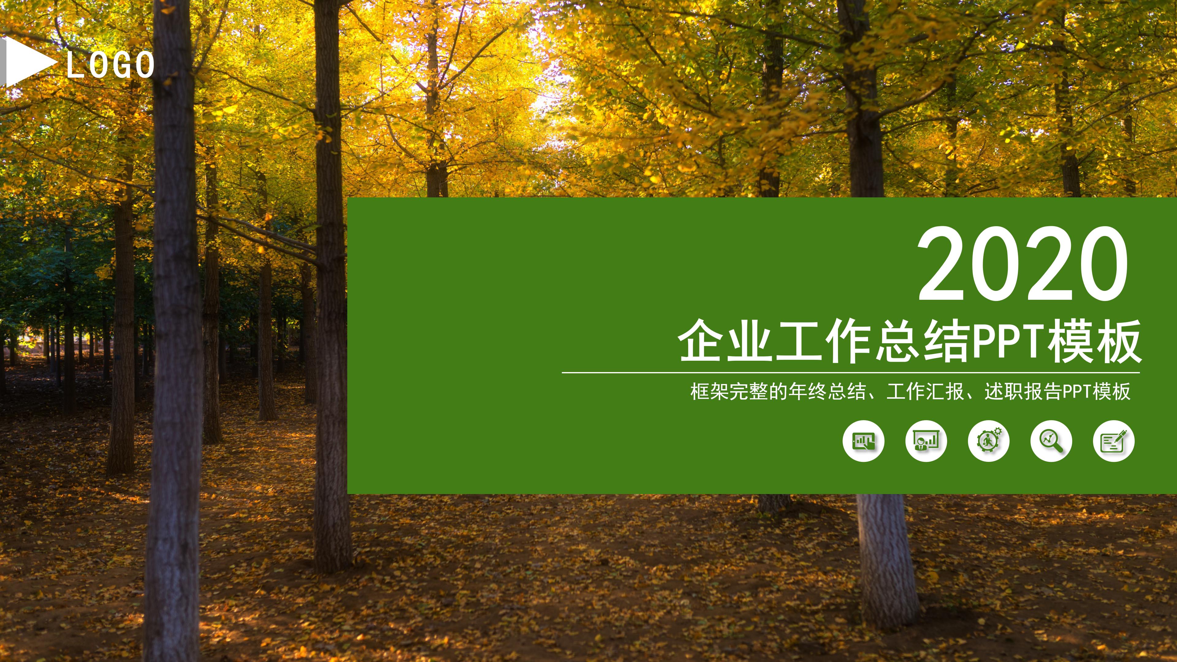 时尚大气实拍枫叶背景企业工作总结PPT模板