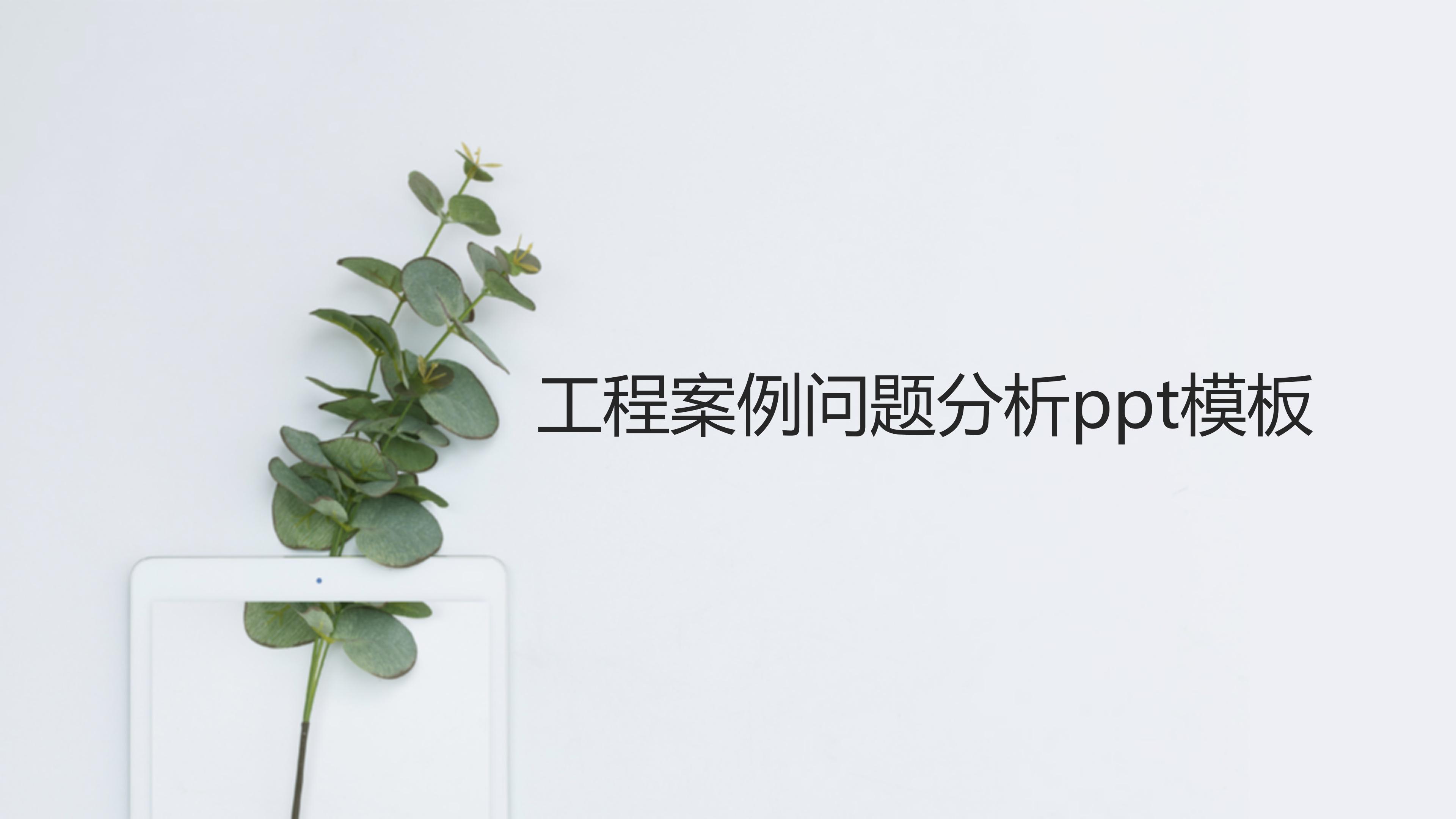 工程案例问题分析ppt模板