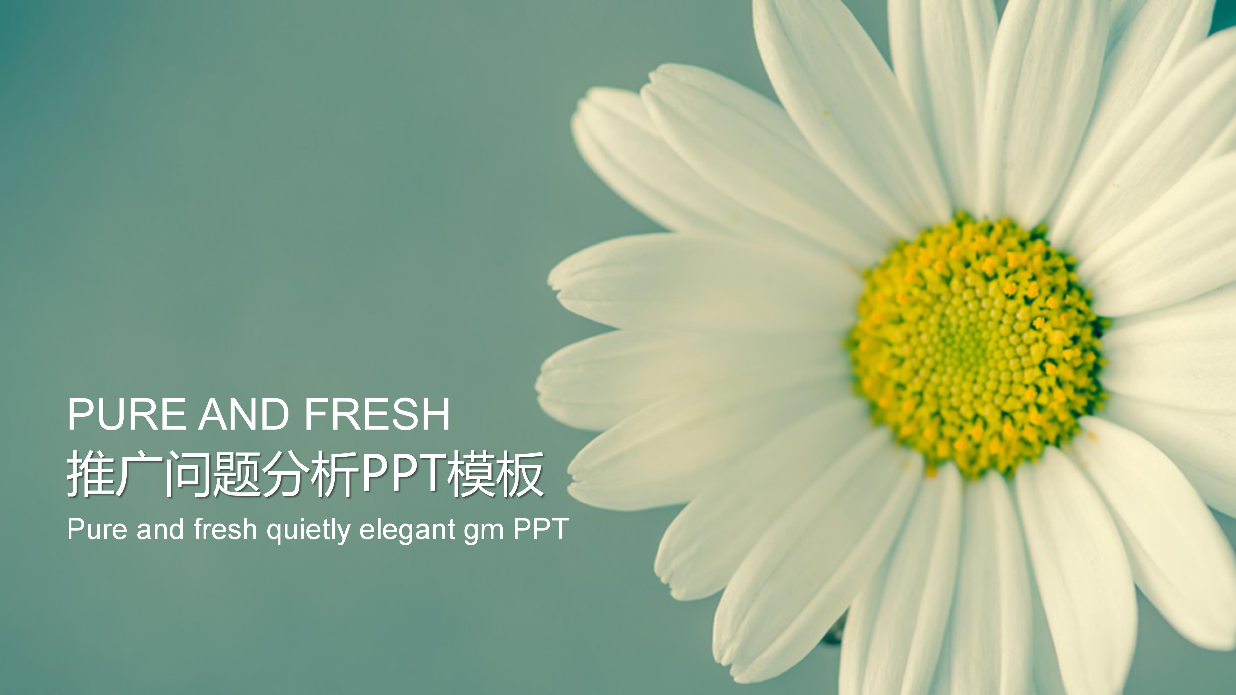 推广问题分析ppt模板