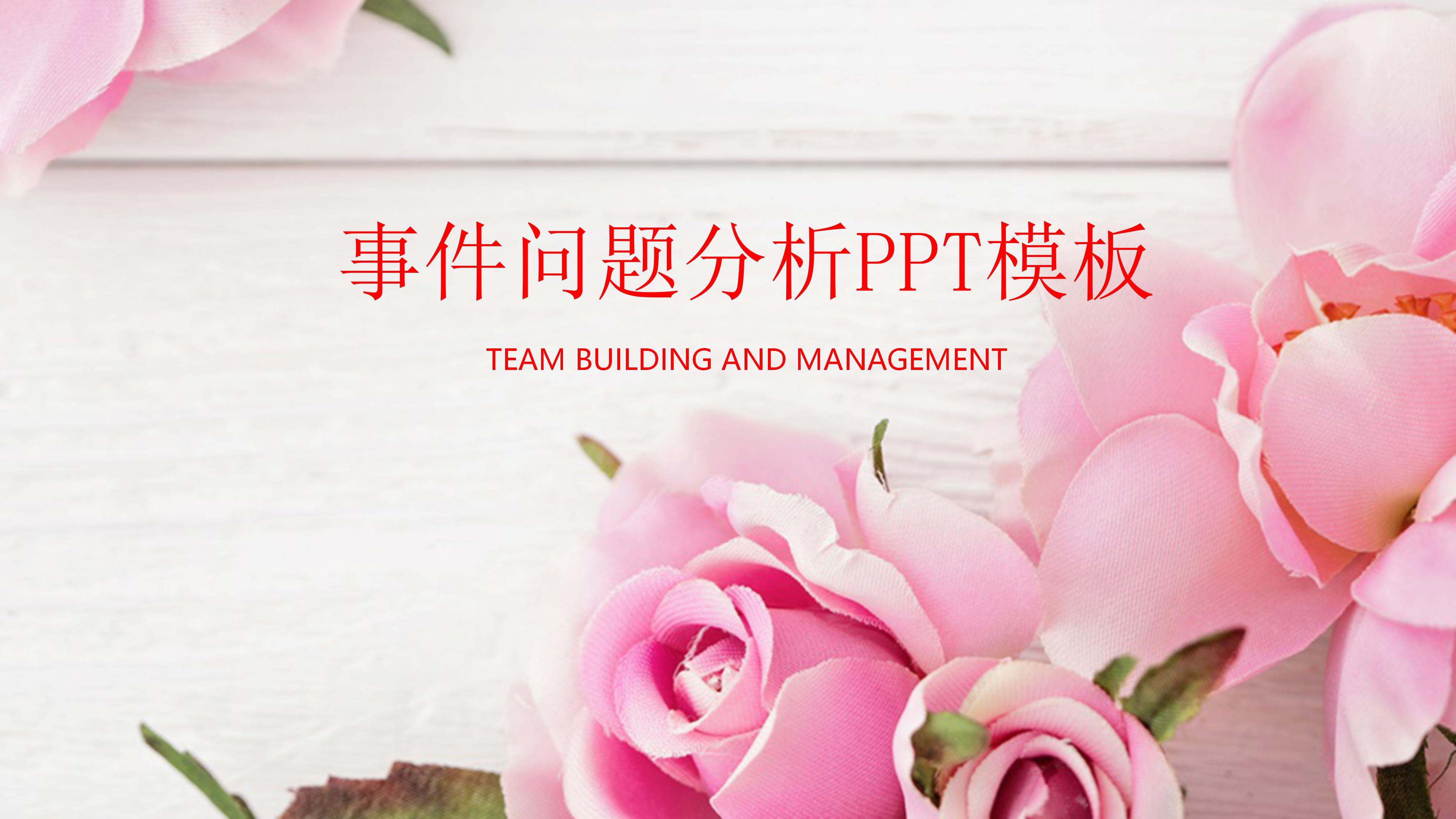 事件问题分析ppt模板