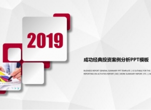 成功经典投资案例分析ppt模板