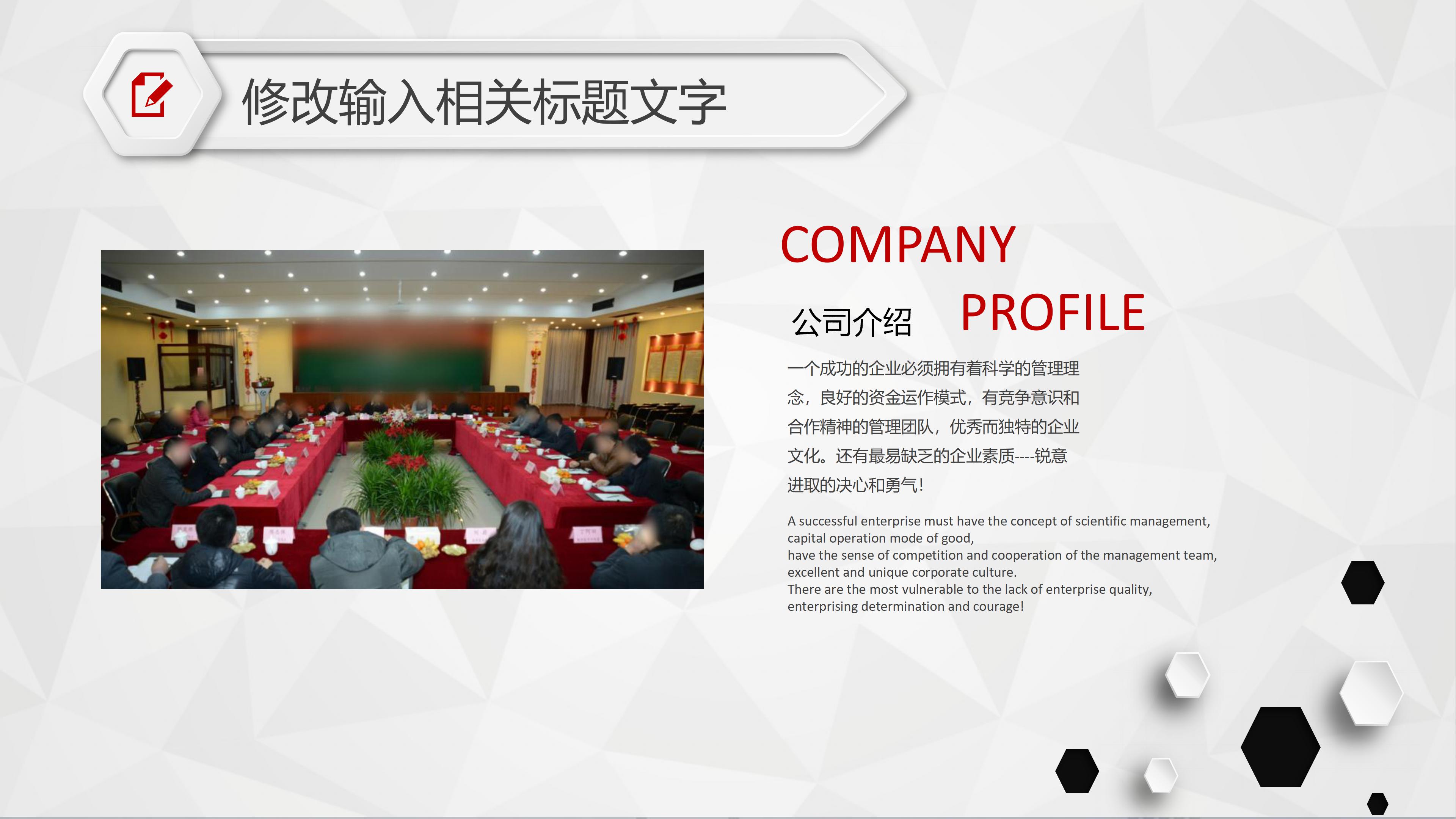 财务投资案例分析ppt模板