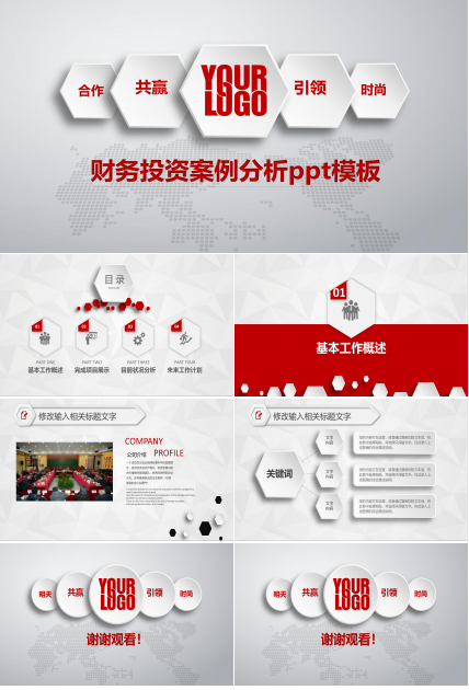 财务投资案例分析ppt模板