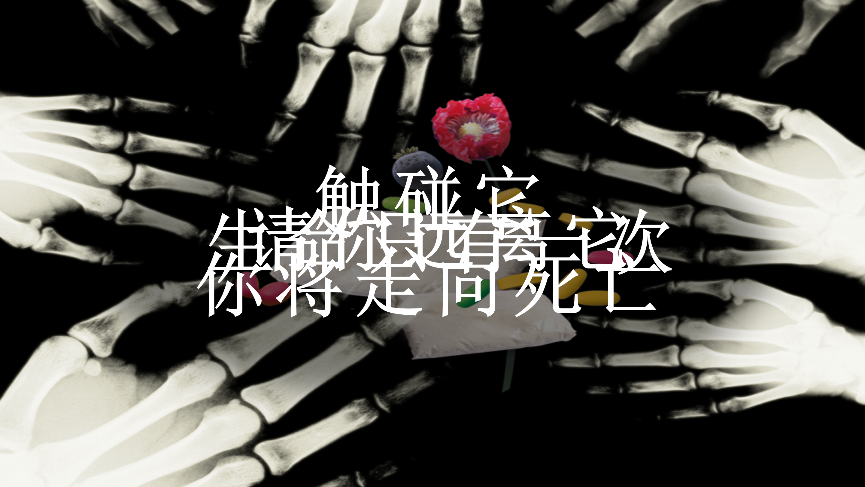 青少年预防教育禁毒主题ppt模板