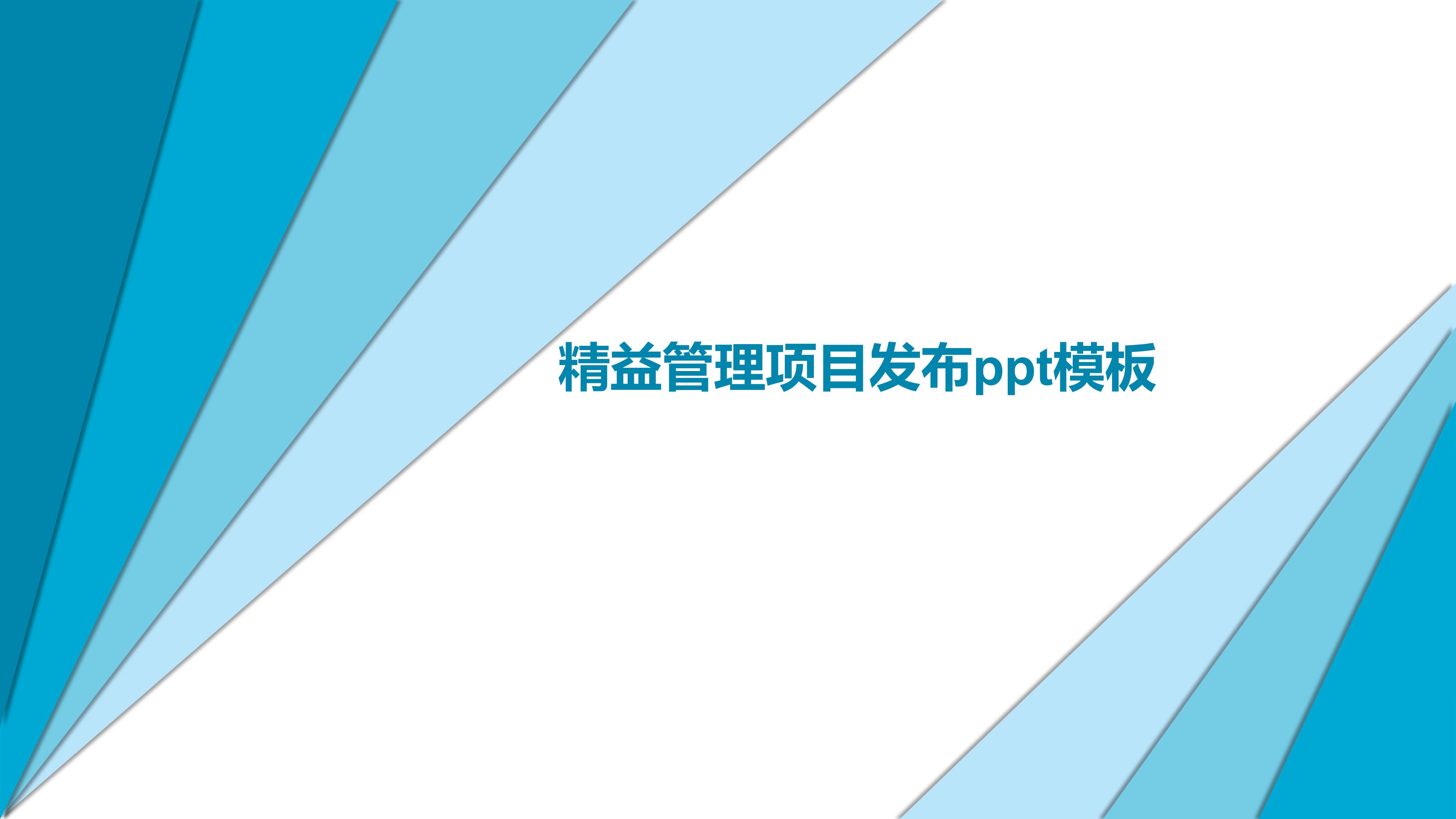 精益管理项目发布ppt模板