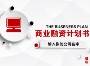 时尚淡雅灰白微立体风商业计划书PPT模板
