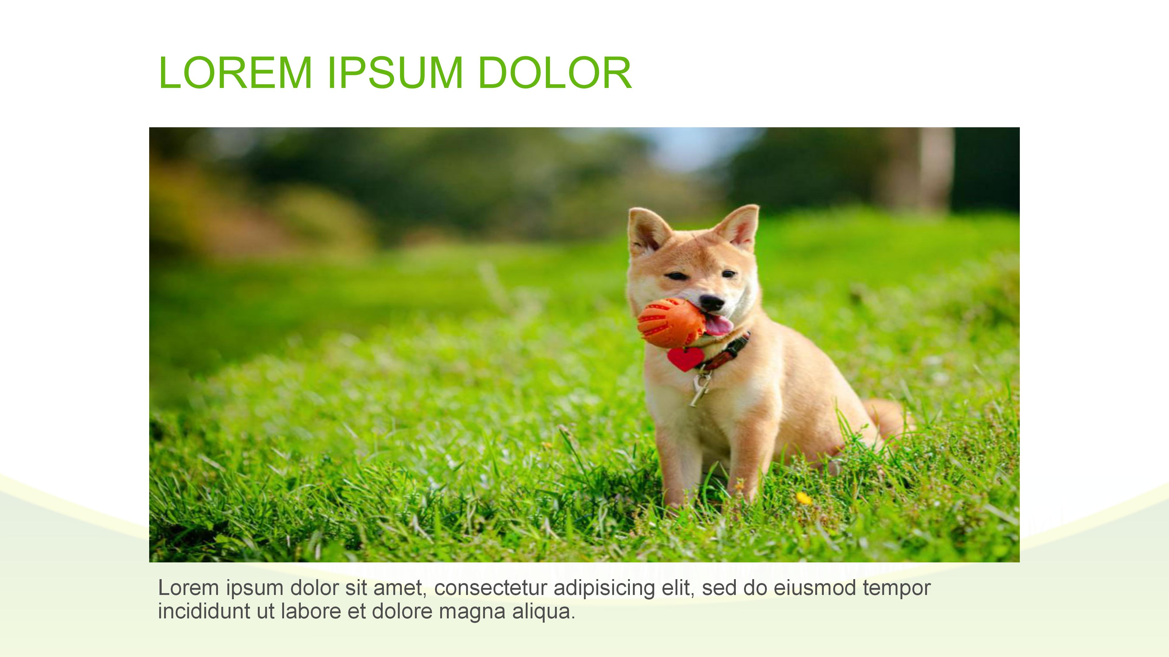 4s店生产环保培训ppt模板