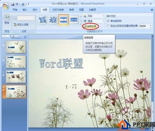 powerpoint2007设置图片的切换效果