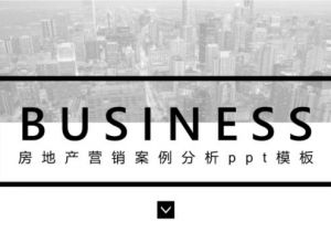 房地产营销案例分析ppt模板