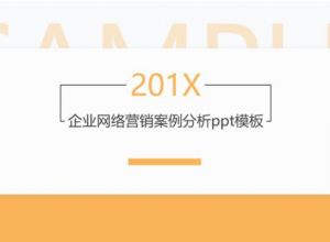 企业网络营销案例分析ppt模板