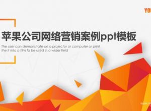 苹果公司网络营销案例ppt模板
