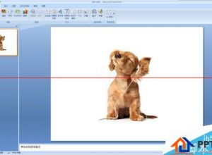 PPT文档中怎么水平或竖直镜像翻转图片