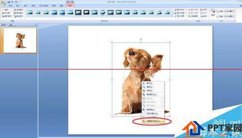 PPT文档中怎么水平或竖直镜像翻转图片呢?