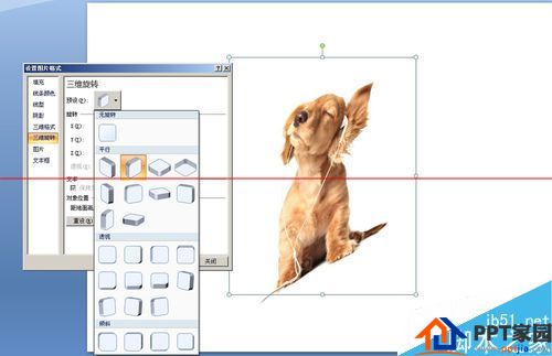 PPT文档中怎么水平或竖直镜像翻转图片呢?