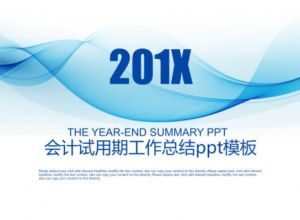 会计试用期工作总结ppt模板