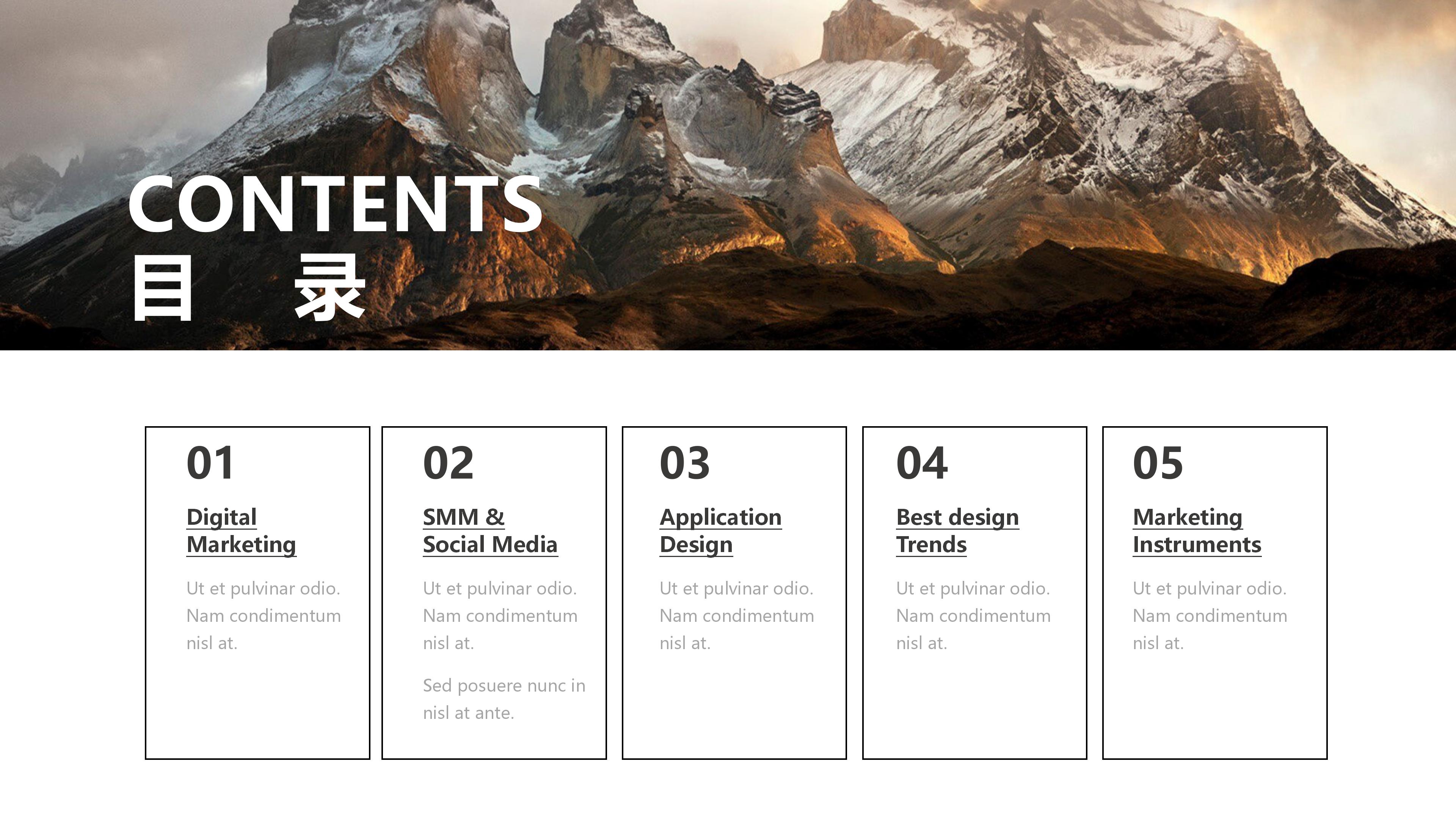 护士读书分享会ppt模板