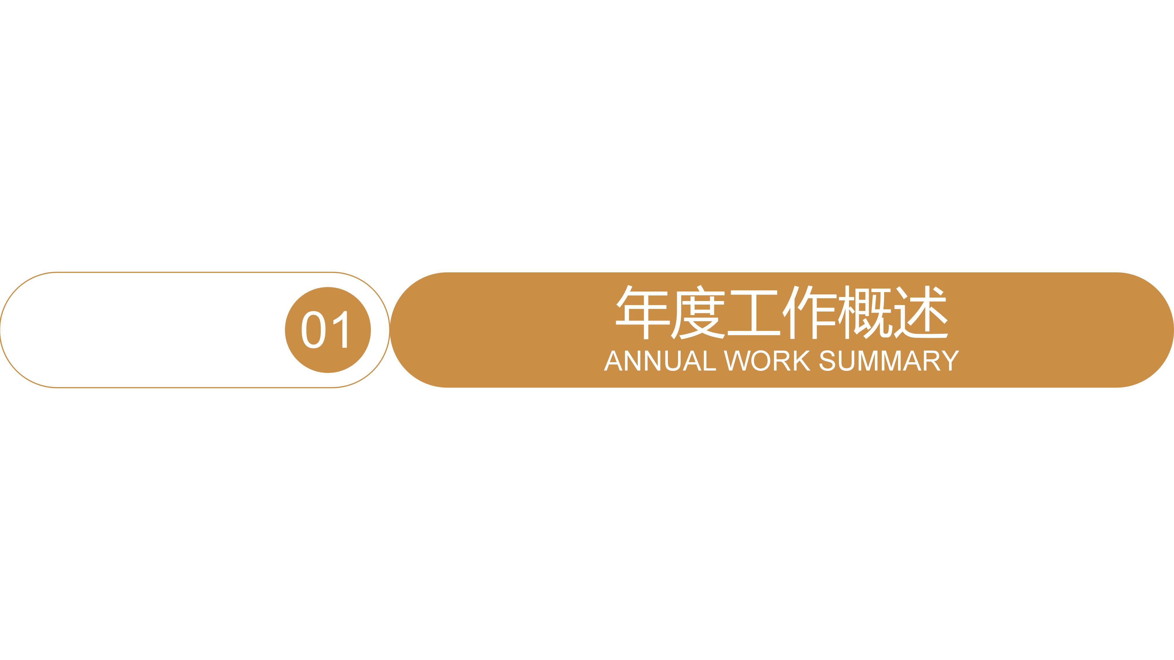 营养项目改善宣传ppt模板