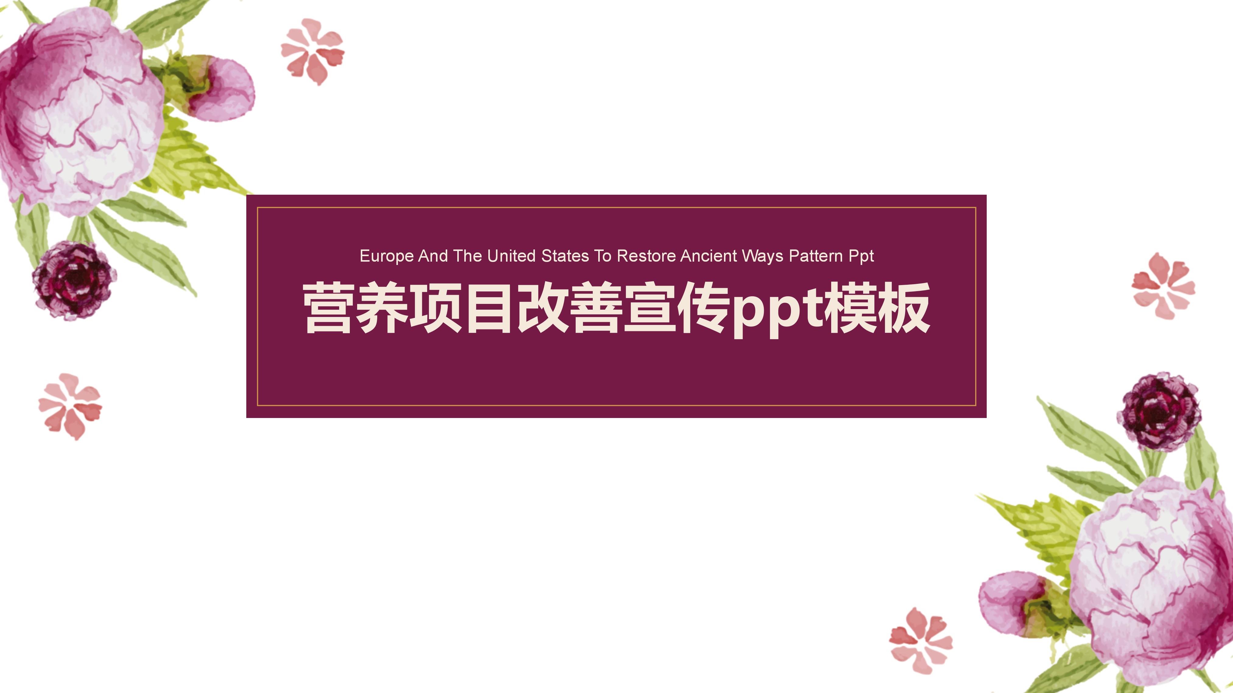 营养项目改善宣传ppt模板
