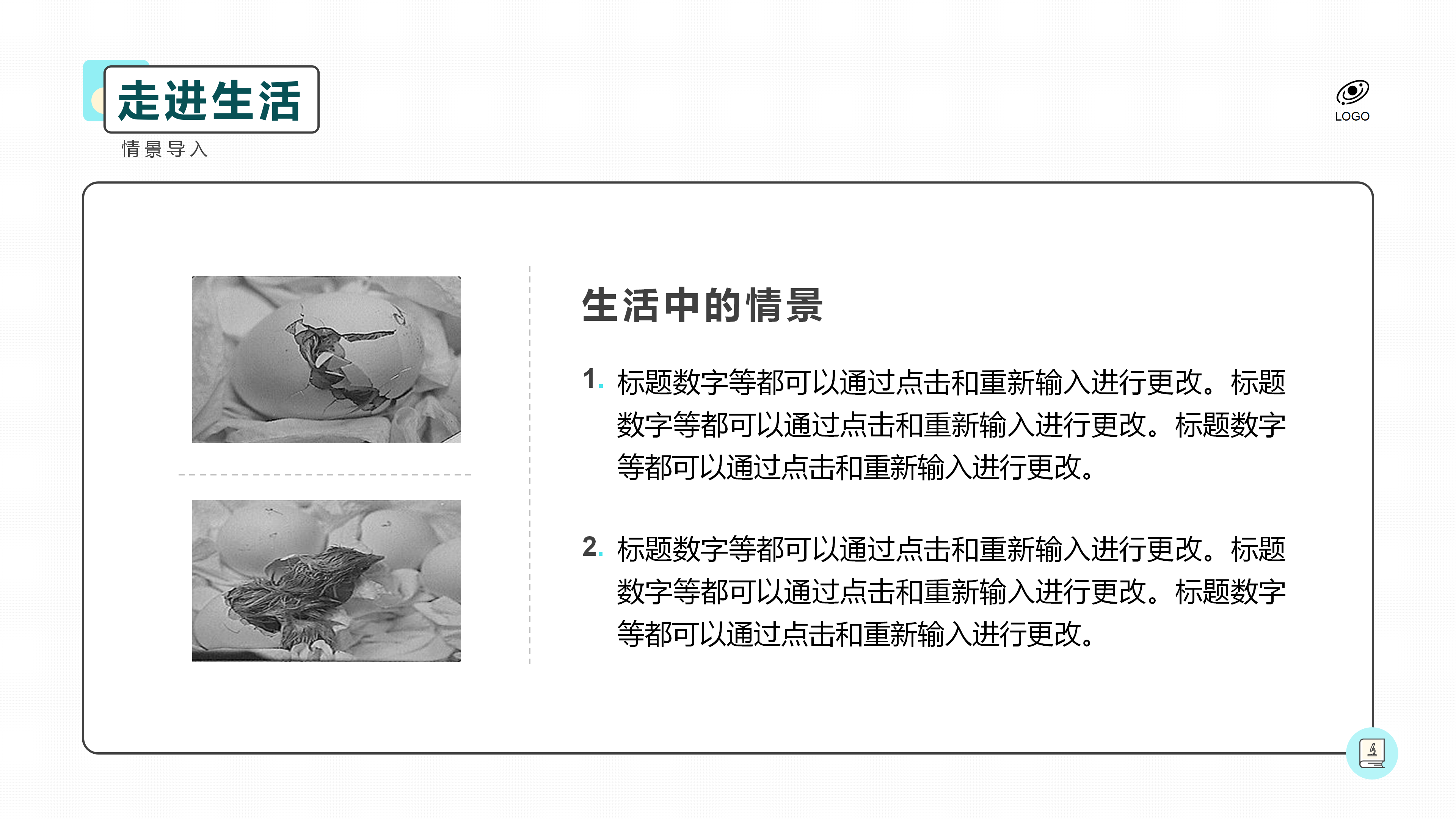 简洁生物课件PPT模板