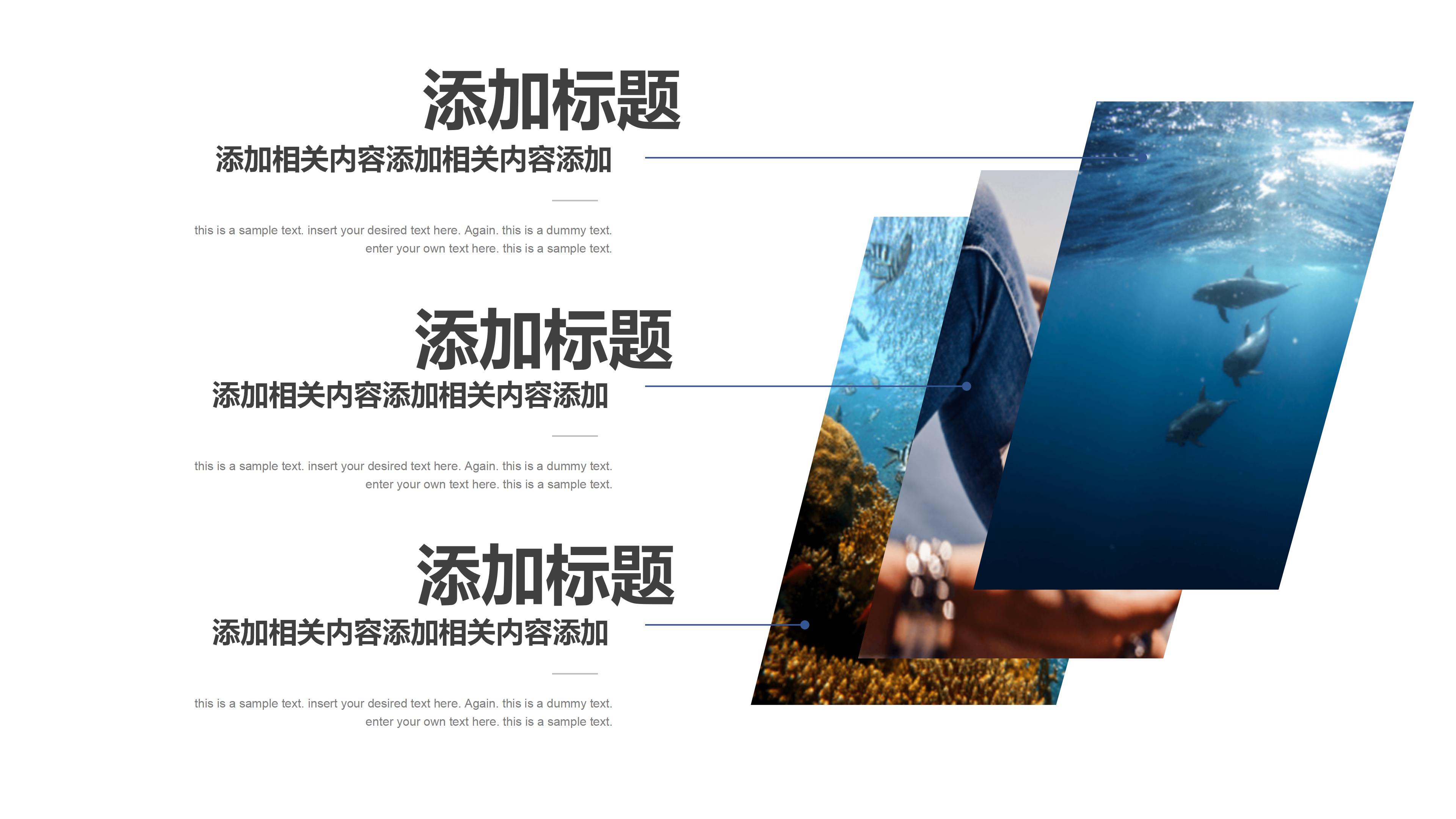 礼仪社团简介ppt模板