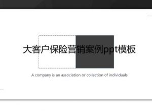 大客户保险营销案例ppt模板