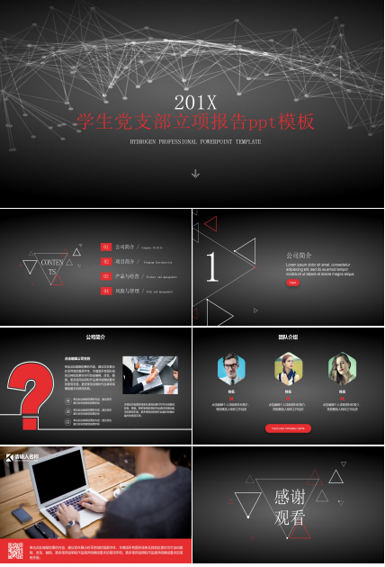 学生党支部立项报告ppt模板