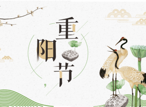 中国风典雅荷花重阳节PPT模板