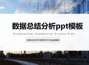 数据总结分析ppt模板