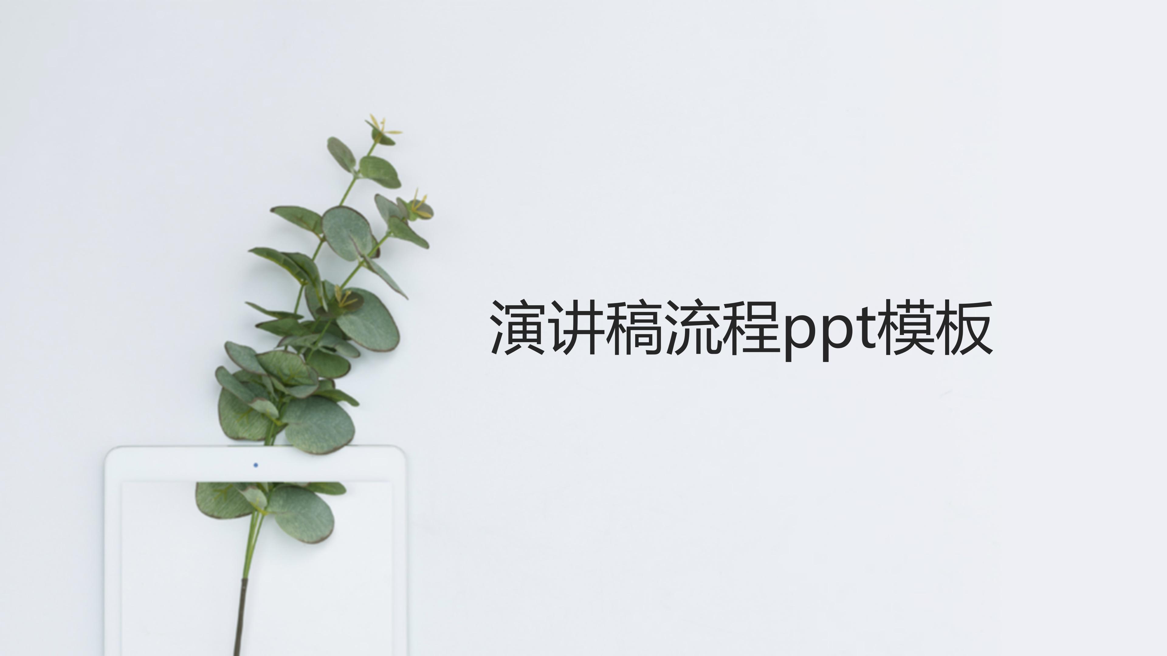 演讲稿流程ppt模板