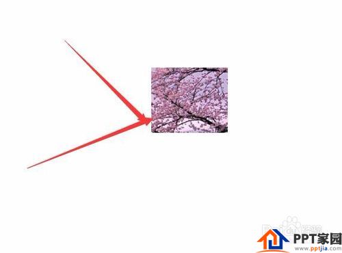 PPT（ppt）中怎样插入图片