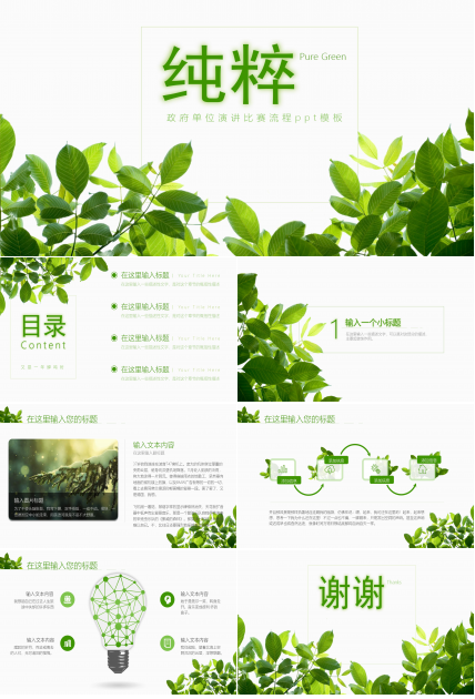 政府单位演讲比赛流程ppt模板
