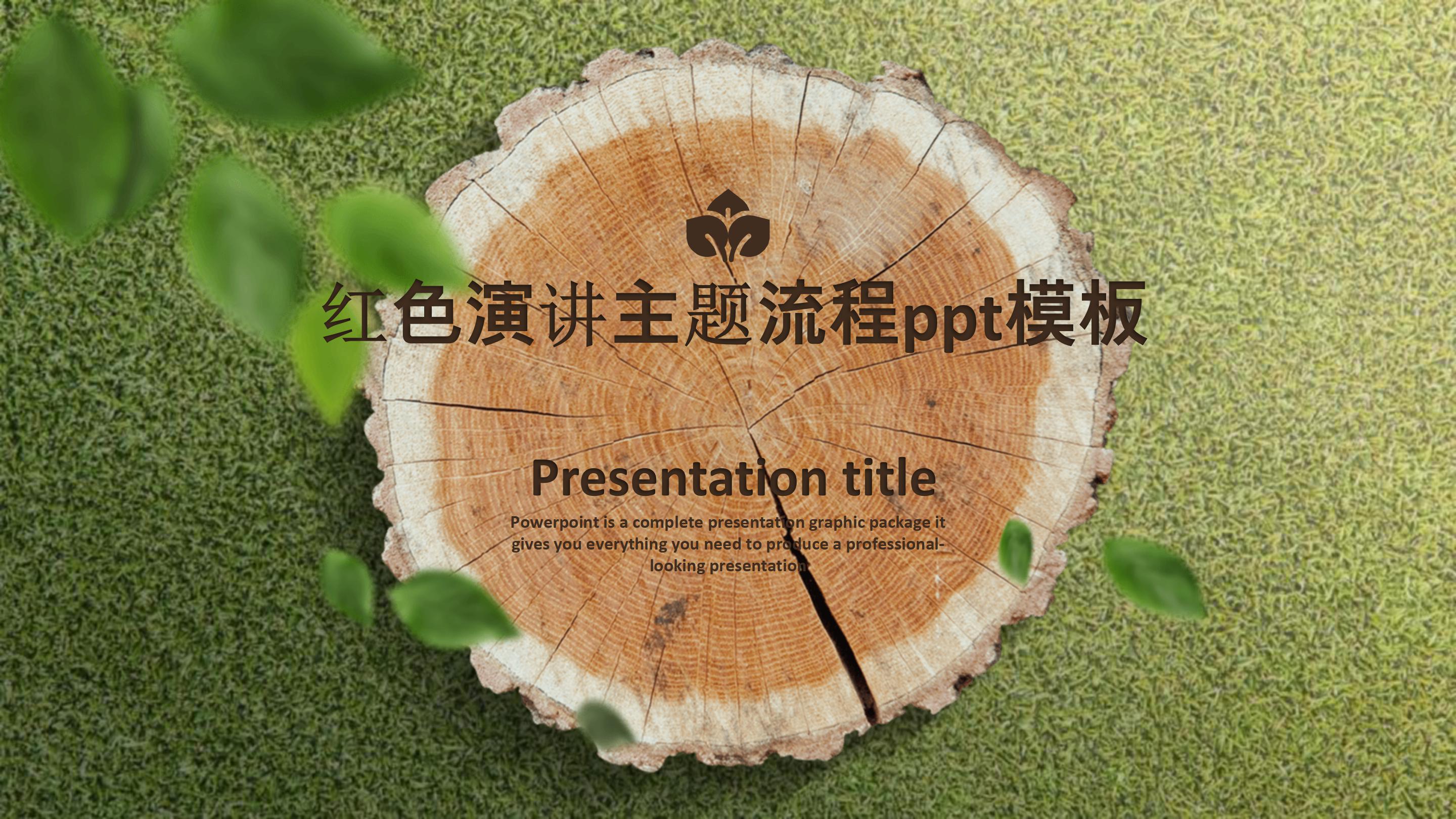 红色演讲主题流程ppt模板