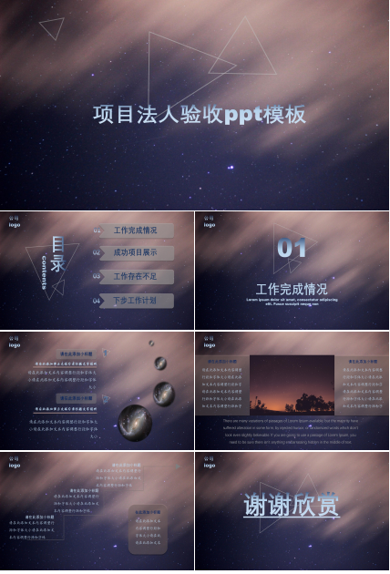 项目法人验收ppt模板